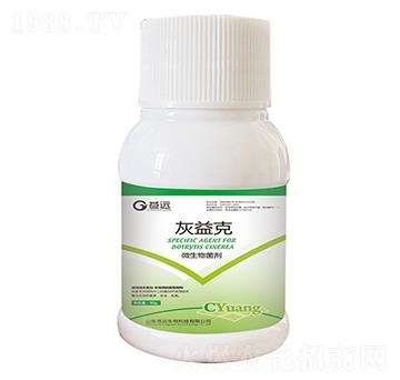 ΢�������-�����-�n�h����