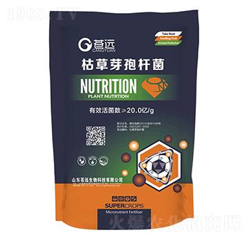 20�|�ݲ�ѿ�ߗU��-�n�h����