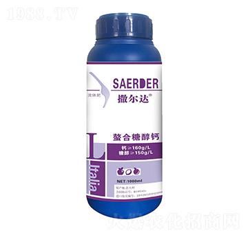 �����Ǵ��}-�����_(d��)-��(y��u)�ݿ�