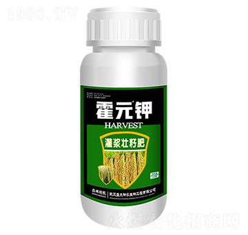 ��Ԫ⛹��{���ѷ�-ʢ������