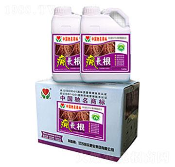 ���L��-�Č��ʘI(y��)