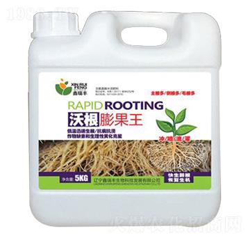 �ָ������-�����S