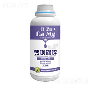 �}�V���\-�W����