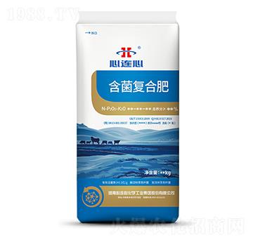 �����ͺϷ�-���B��