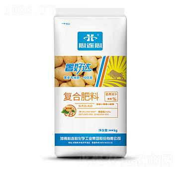 ����Ï�(f��)�Ϸ���-�����_(d��)-���B��