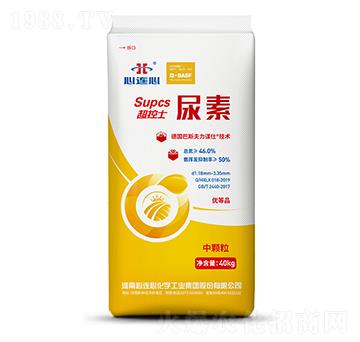 ����ʿ����-���B��