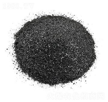 �S�����-�𺣵|