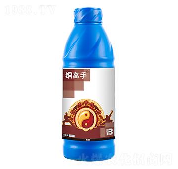 ����������~��1000g��-�~����-ӯ�x