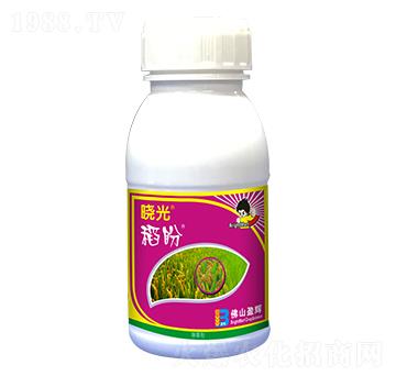 50%���ݰ�-�Թ⵾��-ӯ�x