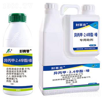 81%�����ס�2.4�������-������-����