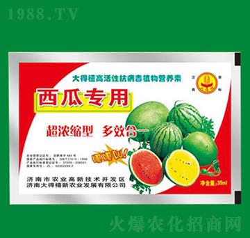 ���ό��ÿ�����ֲ��I(y��ng)�B(y��ng)��-�����