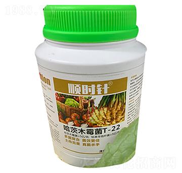 ����ľù��-형r�