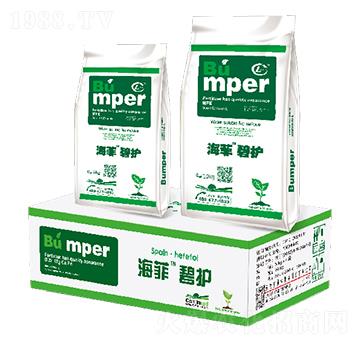 ���Ʊ��o-�W������