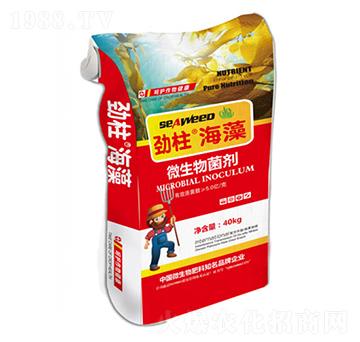 ΢�������-��������-형r(sh��)�