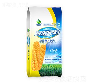 ���ȩ��(f��)�����28-12-10-�R�S����