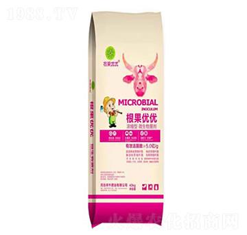 ��S����-������(y��u)��(y��u)-��ţ�ʘI(y��)