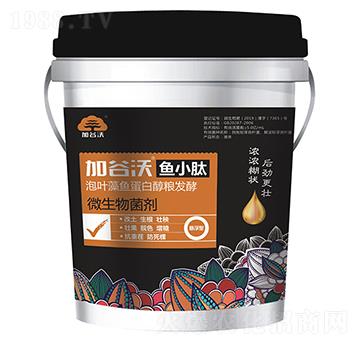 ΢�������-�ӹ����~(y��)С��