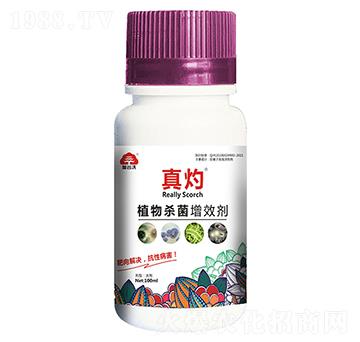 ֲ�����Ч��-����-�ӹ���