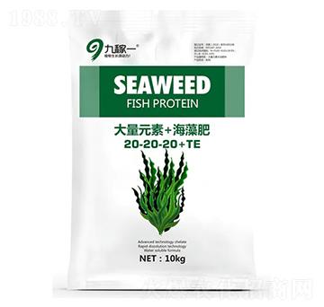 ����Ԫ��+�����20-20-20+TE-�ż�һ