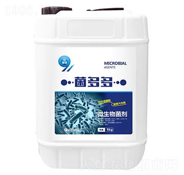 ΢�������-�����-�ż�һ