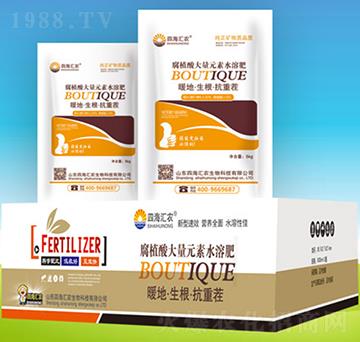 ��ֲ�����Ԫ��ˮ�ܷʽM��-�ĺ��R�r(n��ng)