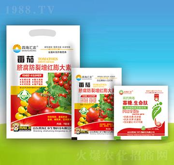 ����Ě���������t�����-�ĺ��R�r