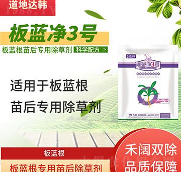 ���{(l��n)�����݄�-���{(l��n)����