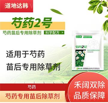 ��ˎ���݄�-��ˎ���-