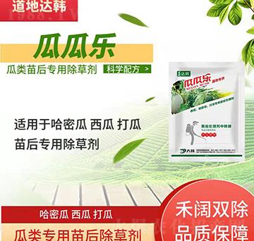 ����݄�-������-