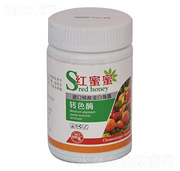 �M�ں��ᵰ�׺���-�t����-�����r(n��ng)�I(y��)