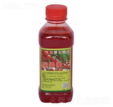 �����L(zh��ng)�Gֱ������-�����r(n��ng)�I(y��)