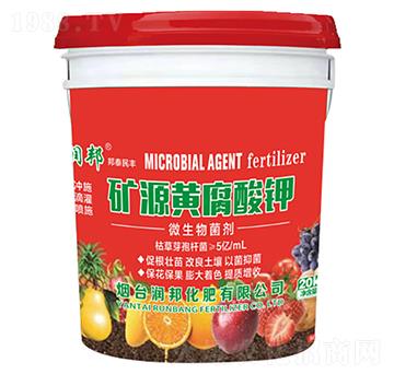 ΢�������-�VԴ�S�����-�����