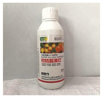 �̽��n���t-��ɽ�ʘI(y��)