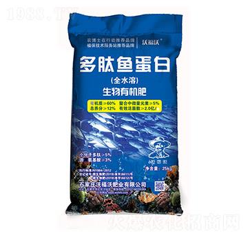 �����~(y��)����-�ָ���