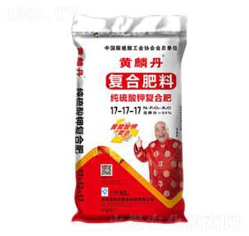 ������⛏ͺϷ���17-17-17-�S�׵�