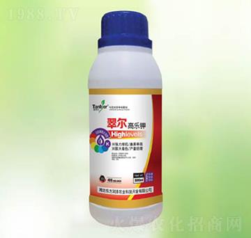 �䠖�ߘ��-�|����(r��n)��