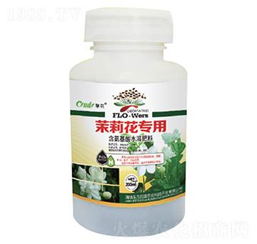 �~��������~���-�|������