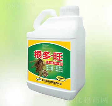 ������-�|������