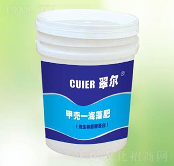 �ך������-�|������