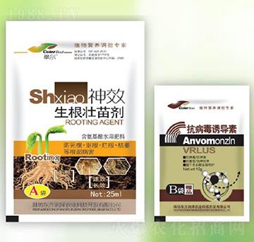 �������焩+�������T����-�|������