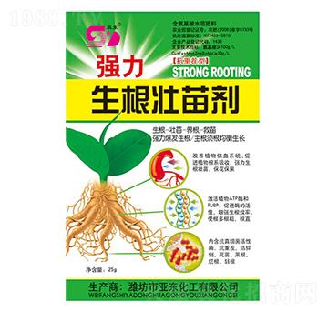 �����������焩-���|����