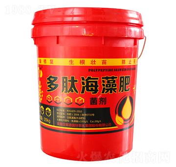 ���ĺ����-���|����