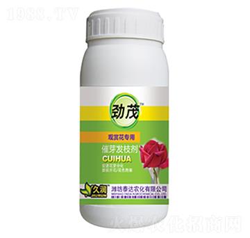 �^�p������-��ѿ�l(f��)֦��-̩�_(d��)�r(n��ng)��