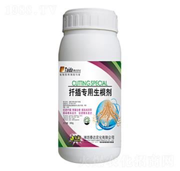 Ǥ�匣��������-̩�_(d��)�r(n��ng)��