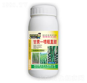 ����һ����ֱ��-̩�_(d��)�r(n��ng)