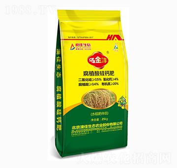 ��ֲ����}��-�����S-�ļ����B(t��i)