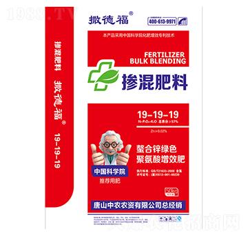 �������19-19-19-���¸�-����