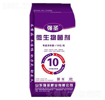 10�|΢�������-��(qi��ng)ʥ