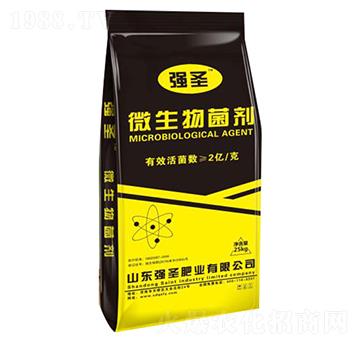 2�|΢����������S��-��ʥ