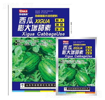 �������������-�A�Z(li��n)��